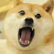 Kabosu, The Famous Shiba Inu In The Doge Memes, Has Cancer