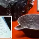 300 Million Year Old Iron Pot Found In Coal