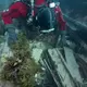 275 Artifacts Were Found In The Wreck Of A 19th-Century Ship That Sank During The Search For The Northwest Passage By Archaeologists