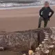 The skeleton bones of the legendary Loch Ness monster were found on a Scottish beach