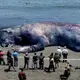 People were alarmed when they discovered a gigantic alien monster that had unexpectedly washed up on the US shore