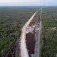 Mexican scientists sound alarm over plan to build railway through pristine jungles