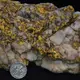 Lake Havasu Arizona Gold Specimen