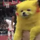 Pikachu Dog Goes Viral At NBA, Again