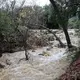 Torrential rains wreaking havoc on California communities proving beneficial for state's forests