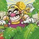 Grandchild Finds 26 Copies Of Wario Land 4 In Their Late Grandma's Attic