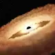 A black hole is observed by NASA’s Hubble Space Telescope twisting a star into a “donut.”