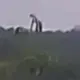 A Mysterious Giant Was Spotted In The Mountains Of Mexico