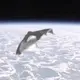 New Video of the Black Knight Alien Satellite in Space
