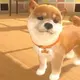 Nintendo Patent Points To Nintendogs Coming To Mobile