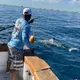 12-year-old catches great white shark while fishing in Florida