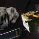 For First Time, Hubble And JWST Watched The Same Event: NASA Spacecraft Slamming Into An Asteroid
