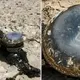 Bizarre Object Discovered on an Australian Beach and Nobody Knows What it is
