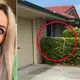 ‘Hiss-teria’: Woman’s scary find on neighbour’s property