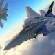 A combat F-14 Tomcat aircraft The American Navy adored them