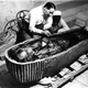 The enigma of the “mummy curse” on Tutankhamun: disastrous occurrences in the tomb