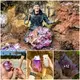 I found a $50,000 rare amethyst gem while mining at a private mine! (A Surprising Finding)