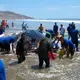 An incredible 9-meter sea monster was discovered by an Ecuadorian fisherman, terrifying the entire hamlet (Video)