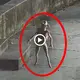Mysterious footage of scary alien animals trying to approach humans to do something… (VIDEO)