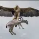 The attack of “King of the Sky” captures goats and drags them into the air (Video)