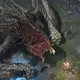 Diablo 4 Player Solos World Boss Ashava In Hardcore Mode