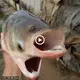 Fisherman ran away when he caught a strange fish with 2 mouths, 4 eyes unique in the world (VIDEO)