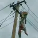 Rescuing a leopard that doesn’t know how to climb an electric pole confuses people (Video)