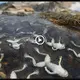 Is the phenomenon of thousands of frog carcasses floating in the river a bad omen for humanity? (video)