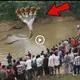 Locals spotted a giant five-headed snake crossing the river chasing a group of people (VIDEO)