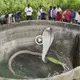 Villagers in India panicked when they discovered a giant albino cobra in a well that reminded them of a god (VIDEO)