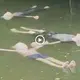 The whole world was shocked to see the horrifying scene in a river recorded by people! (VIDEO)