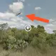 Investigate Reports of “Butterfly Shaped” UFOs Appearing Over Florida’s Mysterious Swamps (VIDEO)