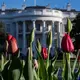 White House continues with 'EGGucation' theme for 2023 Easter Egg Roll