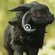Unraveling the mystery of the mutant goat with four horns and four eyes surprised scientists (video)
