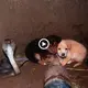 The touching story of the king cobra protecting two dogs trapped in a well and not harming them (VIDEO)