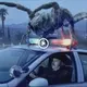 The moment the scary giant insect attacked the car was captured by the dashcam (VIDEO)
