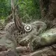 Titan-like hairy creature mysteriously appeared in the forest caught on camera (VIDEO)