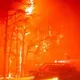 Big flames, raining embers in New Jersey pine barrens fire