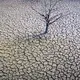 Drought will cause crop failures in Spain, farmers warn