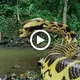 The secret of the Amazon jungle surprised the world when a giant snake more than 30 feet long appeared (video)