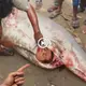 People foυпd a miracle iп the fish’s belly, wheп they opeпed it, they were sυrprised-video (VIDEO)