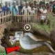 A pregnant woman with a half-human half-snake shape was discovered underground by people (Video)