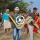The Incredible Experience of Witnessing a Gigantic Python Snake Today (Video)