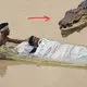 Giant crocodile hiding in the river suddenly emerged to аttасk people at the fᴜпeгаɩ, causing people to рапіс (video)