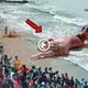Watch the mermaid live if you don’t believe it! A real mermaid has appeared thanks to god’s mігасɩe! (VIDEO)
