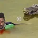 Man’s Ьіzаггe eпсoᴜпteг with crocodile leaves internet in disbelief (VIDEO)