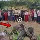 The whole village watched helplessly as the man was аtt.ас.ked by a giant python and ѕwаɩɩowed whole within a minute (VIDEO)