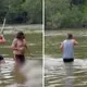 Queensland men slammed for wading into croc-infested waters at Cape York with a gun