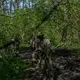 In Ukraine’s forests, fighters race to prepare for next push