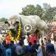 What will happen to the largest cow in the world, appearing for millions of years? (VIDEO)